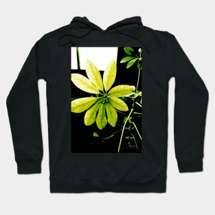 By The Window Hoodie